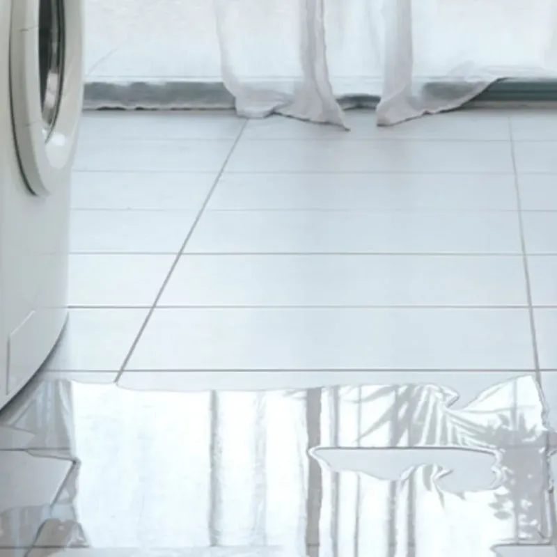 Appliance Leak Cleanup in Hillsdale, MI