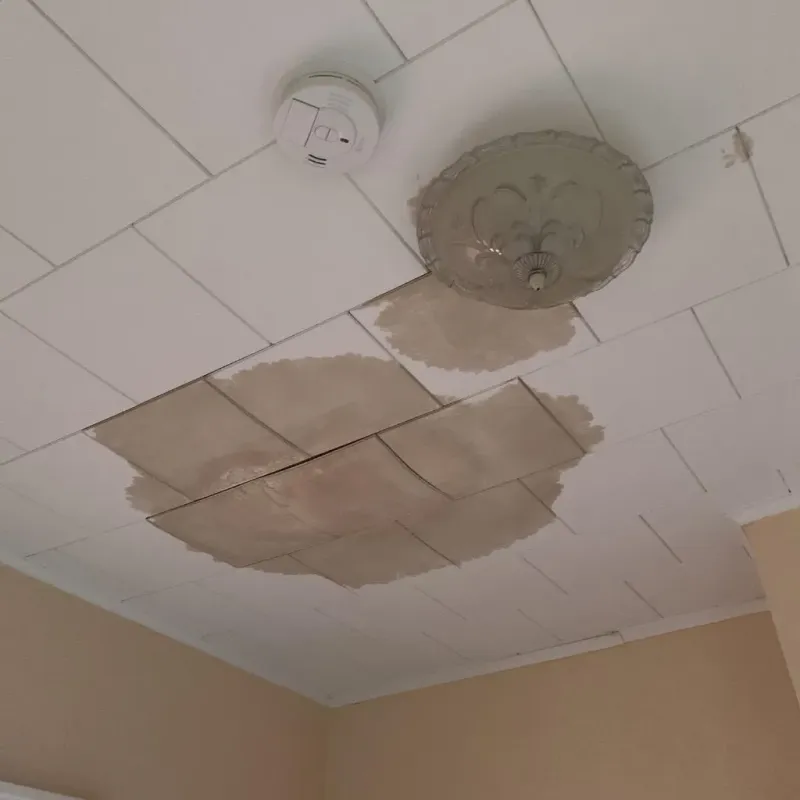 Ceiling Water Damage Repair in Hillsdale, MI