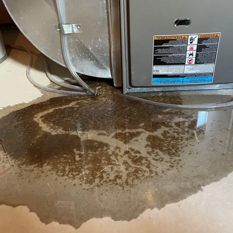 Pipe Burst and Leak Restoration in Hillsdale, MI