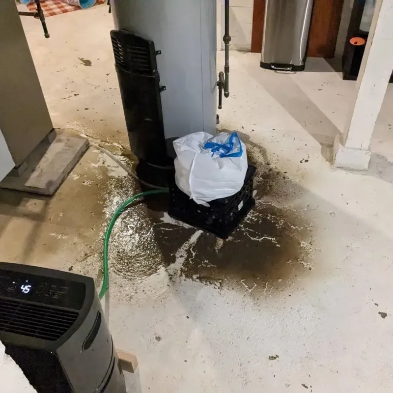 Sewage Backup Cleanup Service in Hillsdale, MI